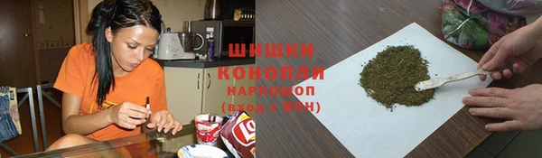 прущие грибы Дмитровск