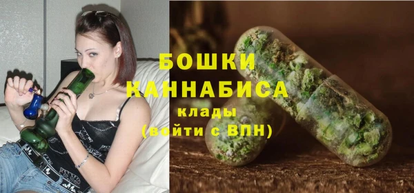 дживик Дмитриев