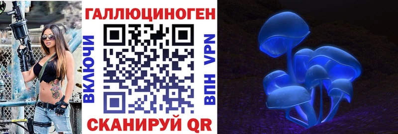 Псилоцибиновые грибы GOLDEN TEACHER  сколько стоит  Энем 
